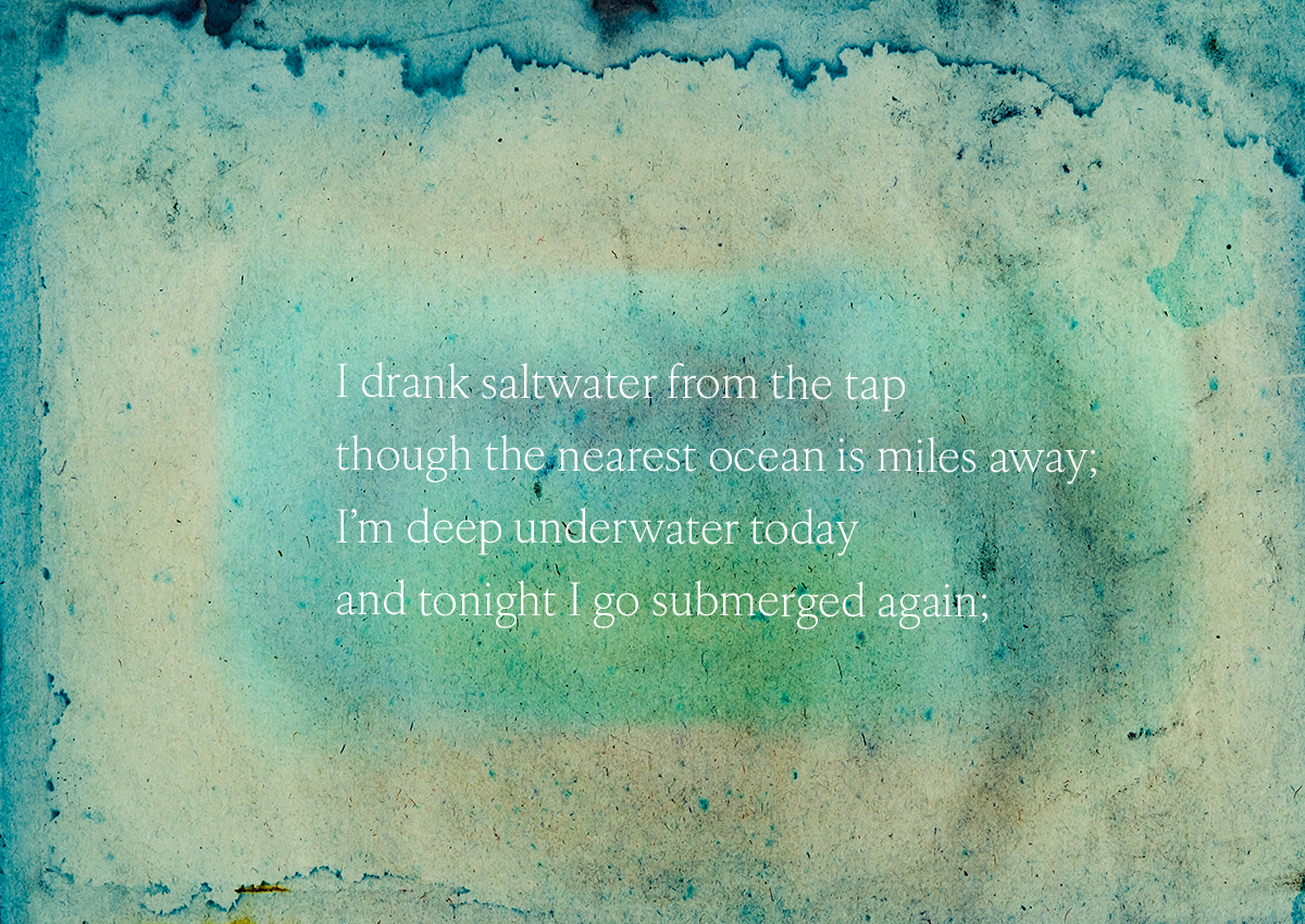 Saltwater Downs