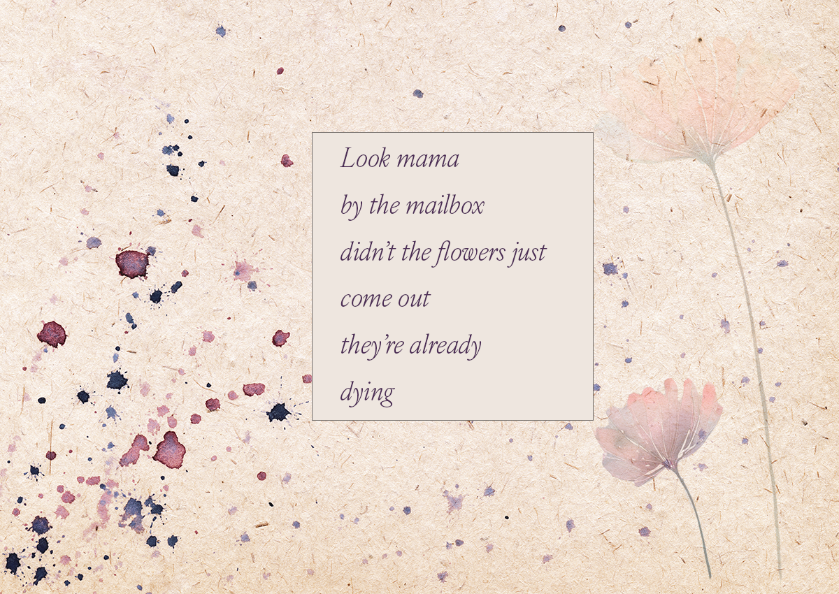 Peony Bush and Boy