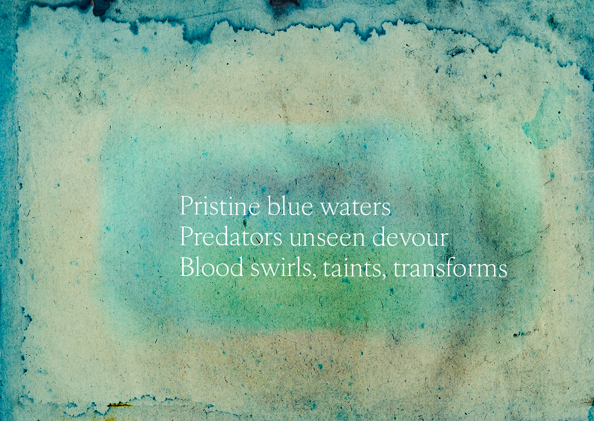 5 Haiku