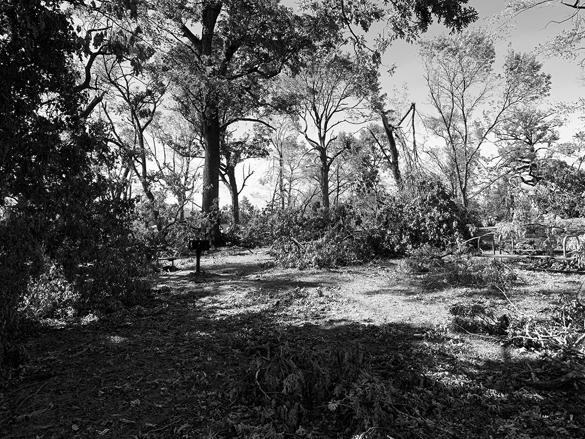 Welcome to the Park