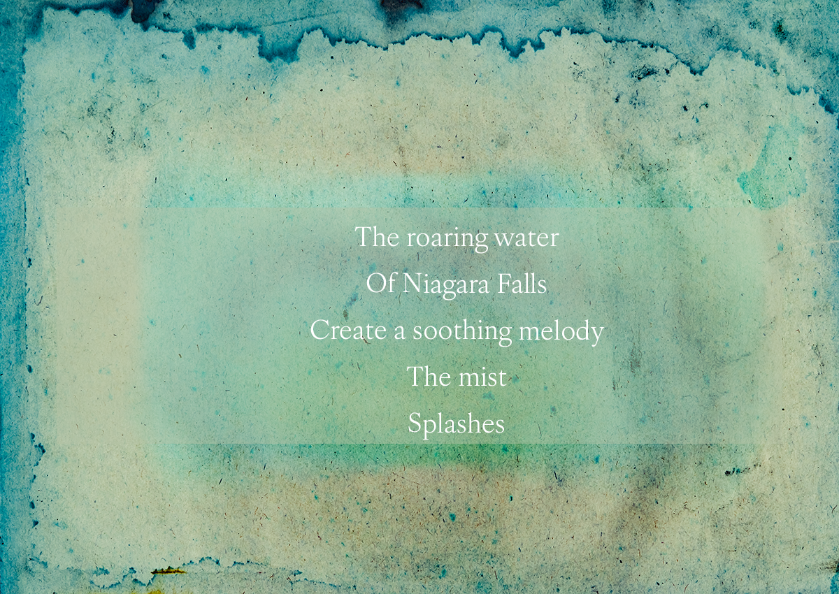 The Niagara Falls!